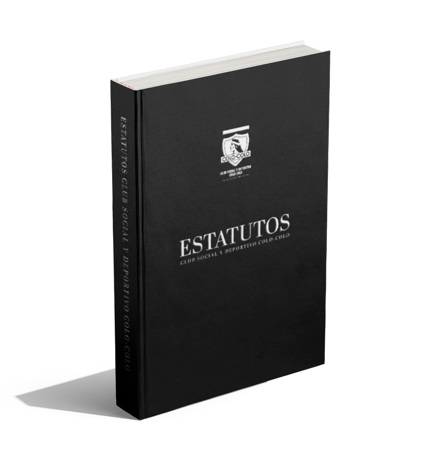 libro estatutos ok