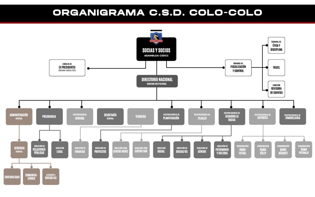 ORGANIGRAMA CSDCC